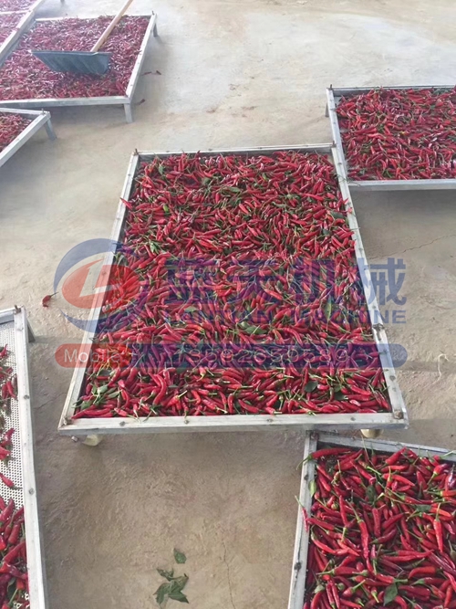 河南辣椒烘干機(jī)貴州現(xiàn)場(chǎng)